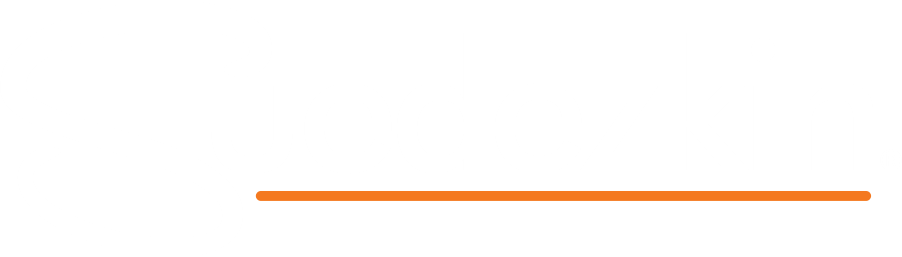 Suedezkin Logo